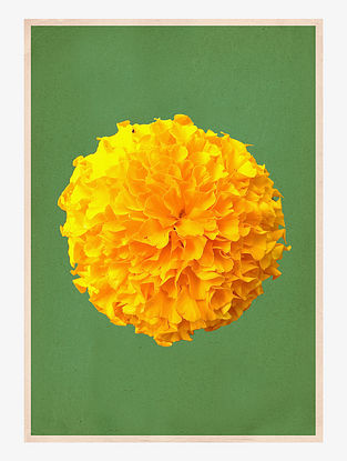 Marigold Art Print On Paper