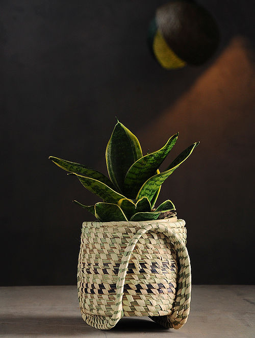 Buy Sabai Grass Handcrafted Plant Holder (4.5in x 6.5in) Online at  Jaypore.com