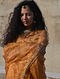 Golden Hand Embroidered Tissue Silk Saree