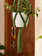 Green And White Macrame Boho Plant Hanger (L- 35in, W- 10in)