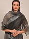 Black-Silver Handwoven Maheshwari Tissue Saree with Checks
