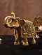 Brass Handcrafted Elephant with Ganesha and Animal Carving (L - 9in, W - 3.2in, H - 7.5in)
