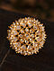Gold Tone Silver Foiled kundan adjustable Ring With Pearls